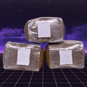 Non-Colonized Grain Spawn Bags