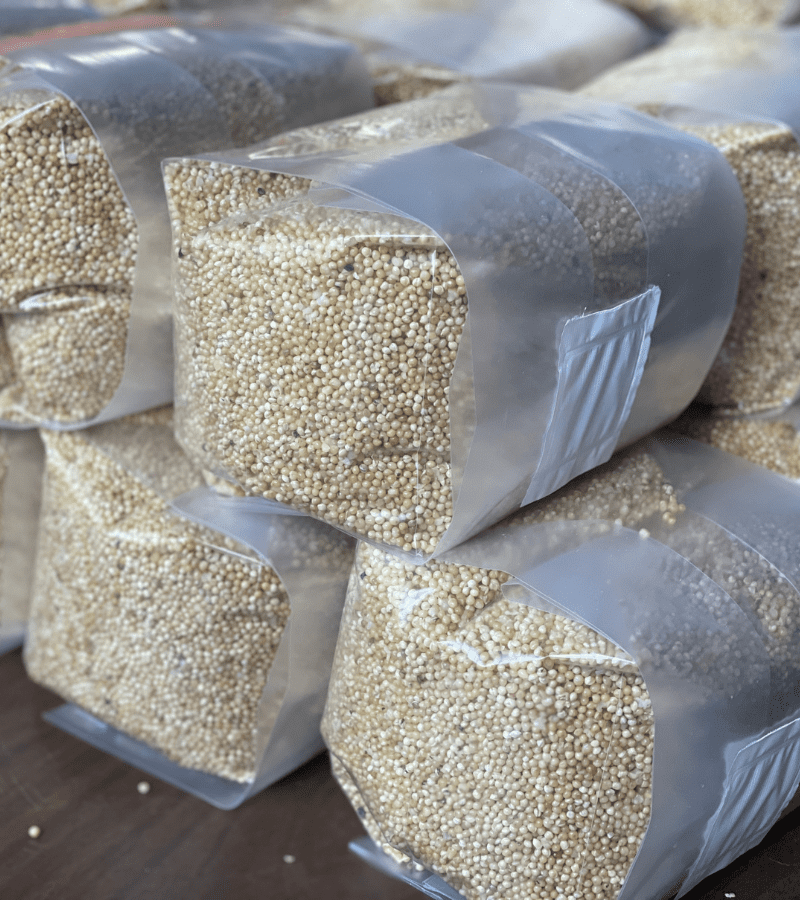 Non-Colonized Mushroom Grow Bag